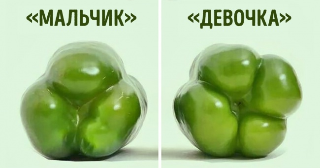-Амтат чинжүүг, ёроолоос нь харахад, 3 салаа хэсэгтэй байвал чихэрлэг амттай байдаг бөгөөд шууд хачиранд хэрэглэхэд тохиромжтой байдаг. Хэрэв, 4 хэсэгтэй бол гашуувтар, хоол бэлтгэхэд хэрэглэдэг.