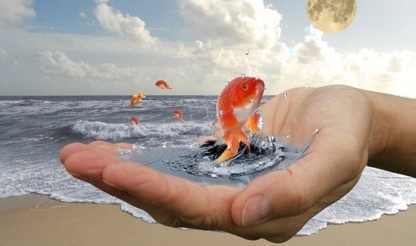 АЗ.  Энэ үг, үргэлж хэлүүлэх дуртай байдаг гэнэ. Энэ үгийг, өөдрөг сэтгэлээр хэлж байх хэрэгтэй. “хэрэв аз таарвал”, “азтай ч байсан болоосой” гэх маягаар бүү хэрэглээрэй. Харин “би маш азтай хүн”, “өнөөдөр би их азтай байна”, “аз байнга ивээдэг” гэх мэтээр давтан хэлж байх хэрэгтэй.
АЗ ЖАРГАЛ.   Өдөр бүр энэ үгийг “би жаргалтай”, “би өнөөдөр жаргалтай байх болно” гэж бүрэн итгэлтэйгээр хэлж ярьж байх ёстой аж. 
ХАЙР.   Өөрийгөө хайрлах, орчин тойрноо хайрлах нь, аз, амжилтын эх үүсвэр гэнэ. Тиймээс ойр дотныхон болон өрөөл бусдыг хайрлан, энэ үгийг хэлж, үйл хөдлөлөөрөө нотолж байх нь, таныг зайлшгүй амжилтад хүргэх баталгаатай зүйл гэдэгт, та удахгүй итгэх болно. 
ТАЛАРХАЛ.   Авахаас өөр зүйл мэдэхгүй хүмүүсээс амжилт, аз нүүр буруулдаг. Авсан бол талархдаг, хариуд нь мөн өгдөг байх нь аз, амжилтыг дууддаг байна. 
АМЖИЛТ.   Та, эхэлсэн ажил үйлс тань, амжилттай явагдаасай гэж хүсч байвал, энэ үгийг байнга хэрэглэж, мөн бусдад ерөөж байгаарай. “би амжилттай”, “танд амжилт хүсье” 
БИ ӨӨРТӨӨ ИТГЭЖ БАЙНА.   Амжилттай хүмүүст, хамгийн хүчтэй илэрдэг шинж. Та, өөртөө хир итгэнэ, төдийчинээ аз, амжилт ирнэ. Байнга энэ үгийг давтаснаар, та, эргэлзээнээс салж, өөртөө итгэх итгэл тань өсөн нэмэгдэх болно. “би өөртөө итгэдэг” 
ИТГЭЛ.   Энэ үг таныг, амьдралд итгэлтэй алхахад тусална. Итгэлгүйгээр хаачих билээ? “би, итгэж байна” “би, бүх зүйл сайхан болно гэдэгт итгэж байна” 
БИ ЭРҮҮЛ.   Эрүүл мэнд бол хамгийн чухал зүйл. Өвчний тухай ярилцах, байнга өвчин хэлж, зовиур тоочих нь, асуудлууд үүсгээд зогсохгүй, биеийн эрүүл мэндээ муутгахад хүргэдэг. Эрүүл байгаадаа баярлах, эрүүл гэдэг үгийг эерэг холбоос үгтэй хэрэглэх нь таны, эрүүл байхын баталгаа болж өгдөг. 
НАЙДВАР.   Найдвар бол бүх хүчээ гартаа зангидан цааш хөдлөх хүч. “Би сайн болно гэж найдаж байна”, “ сайн сайхан, миний найдвар” энэ үгсийг тань, АЗ заавал сонсож, таны найдварыг шагнах болно. 