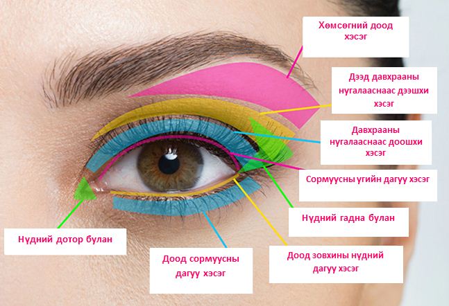 -Хөмсөгний доод хэсэгт, гялгар боронзтой эсвэл цайвар өнгийн тен тавих /сүүн, зааны ясан, мөнгөлөг/
-Давхрааны нугалааснаас доошхи хэсэг. Түрхэх теньний үндсэн өнгө эсвэл харандаагаар зурж өгнө
-Давхрааны нугалааснаас дээшхи хэсэгт, үндсэн теньний өнгөнөөс 2 дахин бараан өнгийн тень түрхэх буюу зурна. Хэрэв дээд зовхи унжсан бол, давхрааны нугалаас нилээдгүй гүн байдаг тул нүд нээлттэй байхад ил гарч байхаар дээш нь илүү гаргаж зурах, тениэ тавих
-Нүдний гадна булан. 1 эсвэл 2 өнгөөр бараан байх харандаа, тениэр зурах
-Дээд сормуусны угийн дагуух хэсэг. Контур, нарийн үзүүрлэсэн харандаагаар нарийн зурна
-Доод зовхины сормуусны дээрхи нүдний дагуухи хэсэг. Нүдээ том харагдуулъя гэсэн тохиолдолд цайвар өнгөөр, тодруулах бол хараар буддаг
-Доод зовхины сормуусны угийн дагуу доод хэсэг. Цайвар, мат өнгийн тень тавих нь нүдийг том, харцыг сайхан болгодог
-Нүдний дотор булан. Цайвар гялалздаг тенийг хөнгөхөн, анзаарагдамгүй түрхдэг